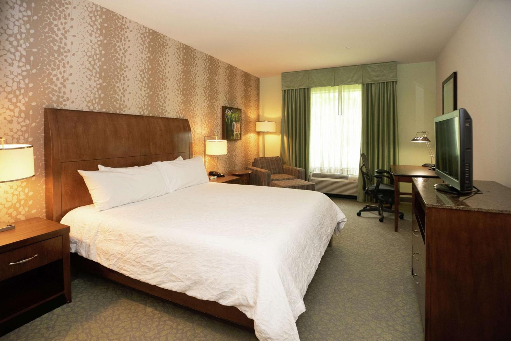 Evolution King Room